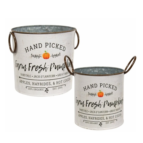 Farm Fresh Pumpkins Metal Buckets - Set of 2 - Picture 2 of 3